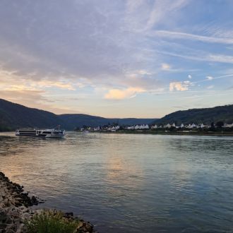 Rhein