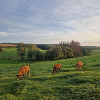 Hunsrück