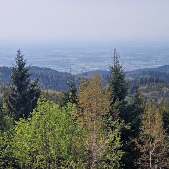 Schwarzwald