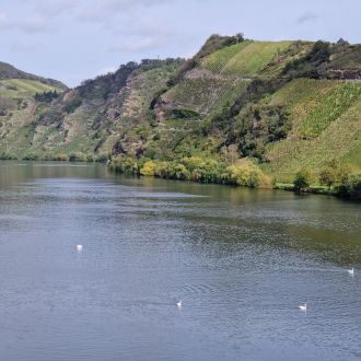 La Moselle