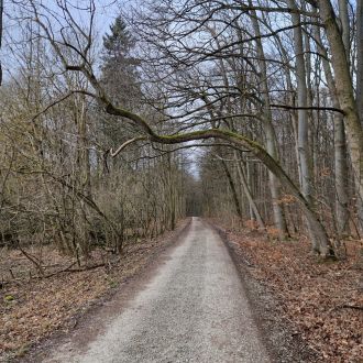 Nationalpark Hainich